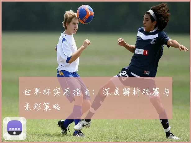 世界杯实用指南：深度解析观赛与竞彩策略