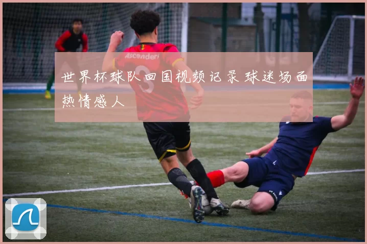 世界杯球队回国视频记录 球迷场面热情感人