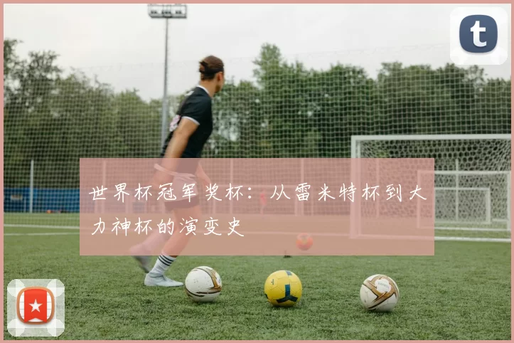 世界杯冠军奖杯：从雷米特杯到大力神杯的演变史