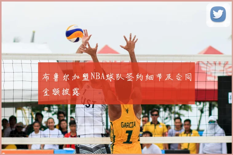 布鲁尔加盟NBA球队签约细节及合同金额披露