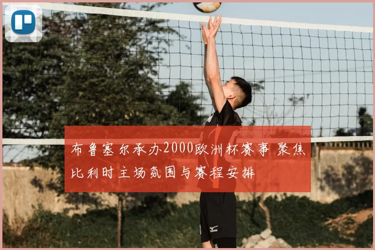 布鲁塞尔承办2000欧洲杯赛事 聚焦比利时主场氛围与赛程安排