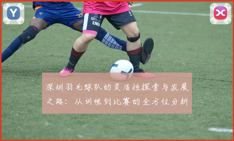 深圳羽毛球队的灵活性探索与发展之路:从训练到比赛的全方位分析