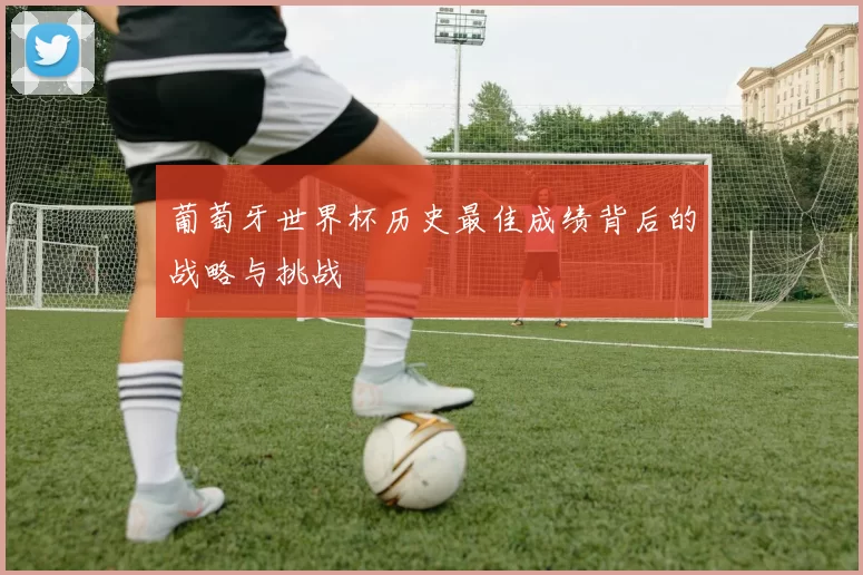 葡萄牙世界杯历史最佳成绩背后的战略与挑战