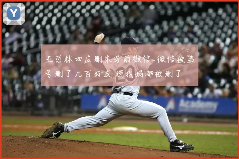 王哲林回应删朱芳雨微信_微信被盗号删了几百好友 连我妈都被删了