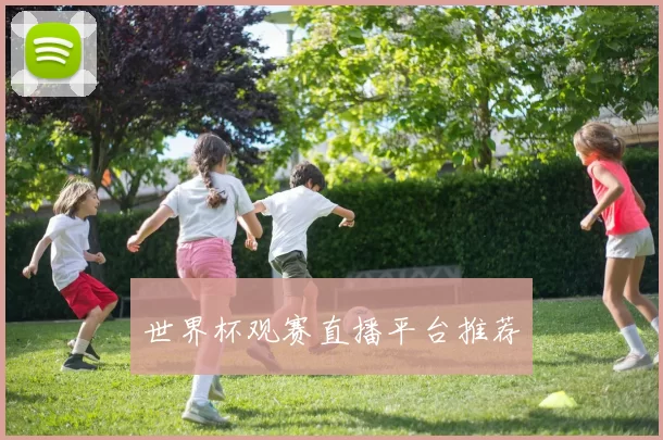 世界杯观赛直播平台推荐