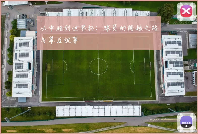 从中超到世界杯：球员的跨越之路与幕后故事