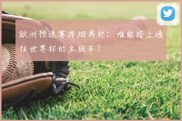 欧洲预选赛烽烟再起:谁能搭上通往世界杯的末班车?