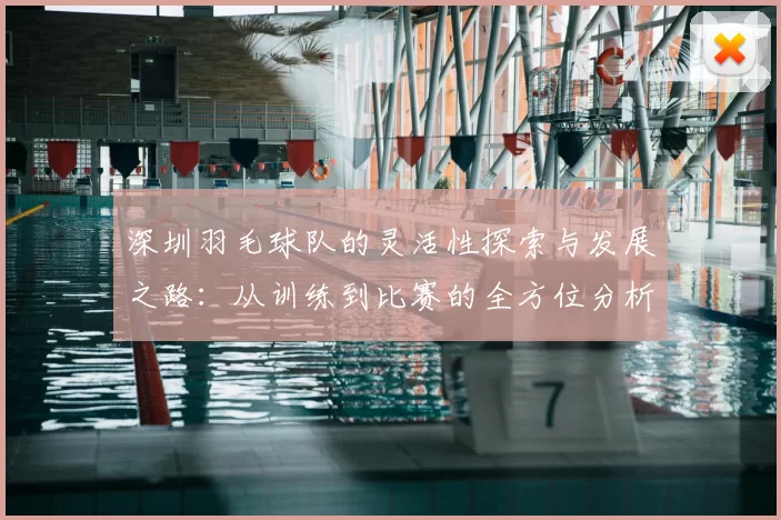 深圳羽毛球队的灵活性探索与发展之路：从训练到比赛的全方位分析