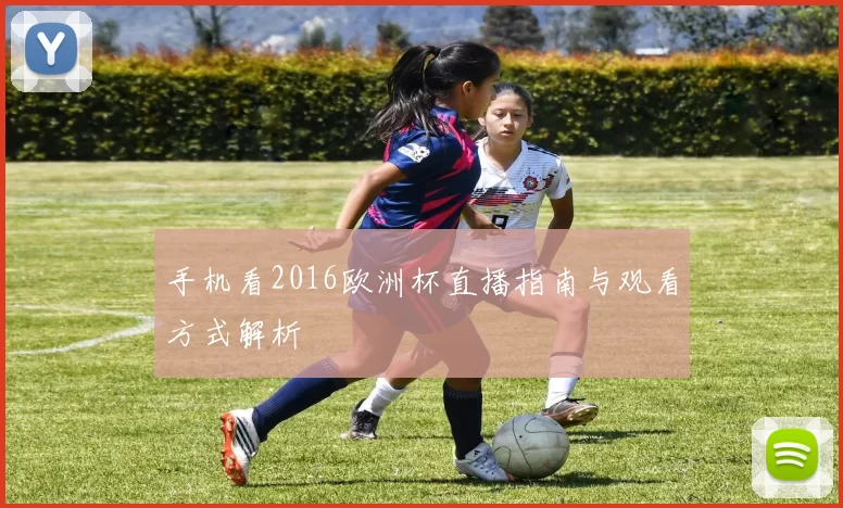 手机看2016欧洲杯直播指南与观看方式解析