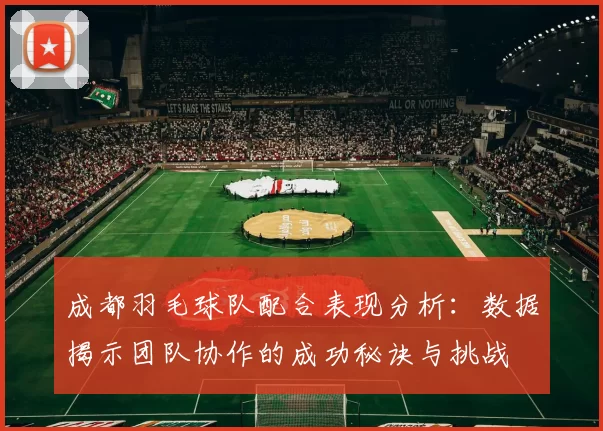 成都羽毛球队配合表现分析:数据揭示团队协作的成功秘诀与挑战